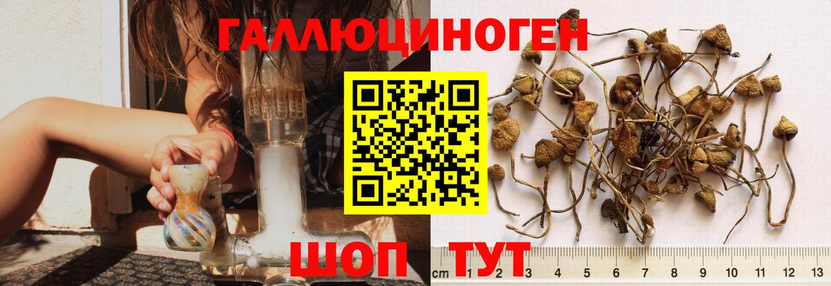 где купить   Галлюциногенные грибы ЛСД  Вход с VPN  Янаул 
