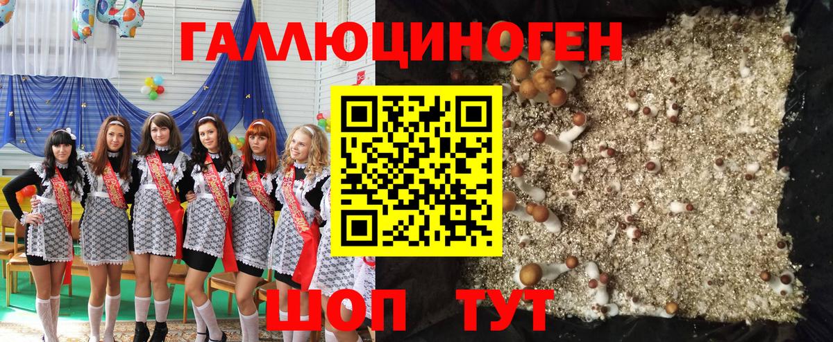 Галлюциногенные грибы прущие грибы Янаул